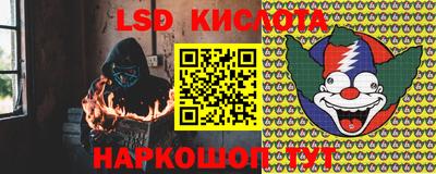 прущие грибы Новозыбков