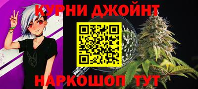прущие грибы Новозыбков