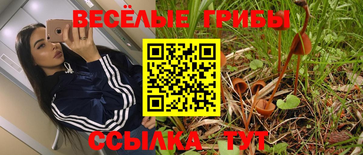 Псилоцибиновые грибы Magic Shrooms Чайковский